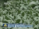 谷雨将至 华北多地出现雨雪天气