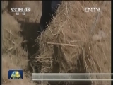 草原生态补奖机制惠及百万农牧民