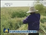 农业科技助贵州农民高产增收