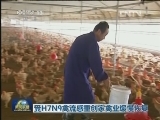 受H7N9禽流感重创家禽业缓慢恢复