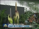 国内联播快讯