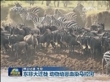 国际联播快讯