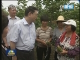 中共中央政治局常委到第一批党的群众路线教育实践活动联系点调研指导工作