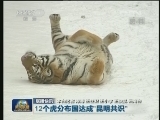 国内联播快讯
