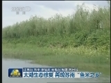 太湖生态修复 再现苏南“鱼米之乡”