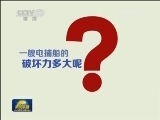 记者调查：“电捕鱼”违禁捕捞 破坏渔业资源