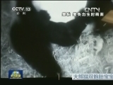 国际联播快讯