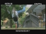 厦门新娘 9集