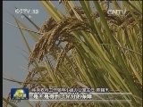 【权威访谈】 专访中农办主任陈锡文