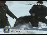 【走基层·蹲点日记】哈萨克牧民冬季转场记