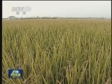 【权威访谈】韩长赋：突出“三农”位置 保粮食安全