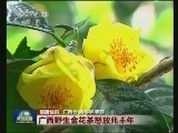 国内联播快讯