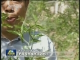 新疆干部群众热议第二次中央新疆工作座谈会