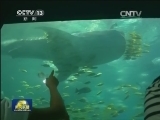 辽宁提升旅游文化产业国际竞争力