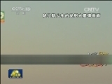 以空袭致巴勒斯坦死亡人数过百