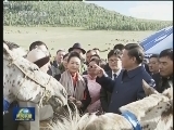 习近平同蒙古国总统共同观看那达慕