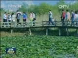 北京：绚烂秋色美