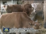 云南：点面结合推动乌蒙山扶贫
