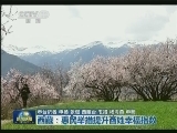 西藏：惠民举措提升百姓幸福指数