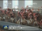 河南兰考：脱贫一年间 加速奔小康