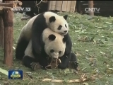 国内联播快讯