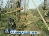 国际联播快讯
