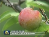 四川：双轮驱动 扶贫攻坚