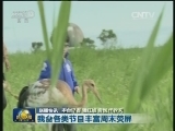国内联播快讯
