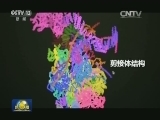 【超级实验室】清华施一公实验室：探究生命密码
