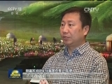 新疆秋色美 旅游创新高