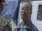 雪域雄鹰 10集