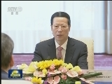 张高丽与俄罗斯副总理举行中俄能源合作委员会第十二次会议