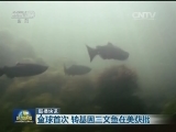 国际联播快讯