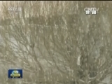 华北雾霾渐消散 新疆遭遇降雪
