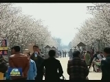 【春季美丽生态】好生态扮靓春天