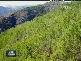 【春季美丽生态】春花烂漫 扮美生态家园