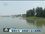 国内联播快讯