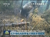 国内联播快讯