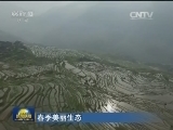 【春季美丽生态】“绿色春耕”打造生态农业