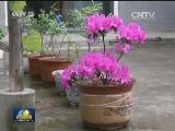 总书记的嘱托我们记住了