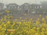 《生财有道》 20160506 黄河故道梨花香CCTV节目官网CCTV2央视网(cctv.com)