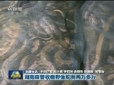 国内联播快讯