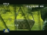 中塞就深化广播影视合作达成新共识