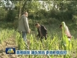 暴雨频发 潮头渐高 多地积极应对