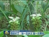 【生态文明实践行】福建长汀：治一方水土 富一方百姓