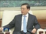张德江会见俄罗斯总统