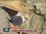 国内联播快讯