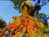 【“十三五”开局考】让每个老百姓都有获得感