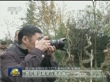 集体权能改革试点 让农民享有更多财产权利