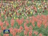 春满人间 美丽生态谱新篇
